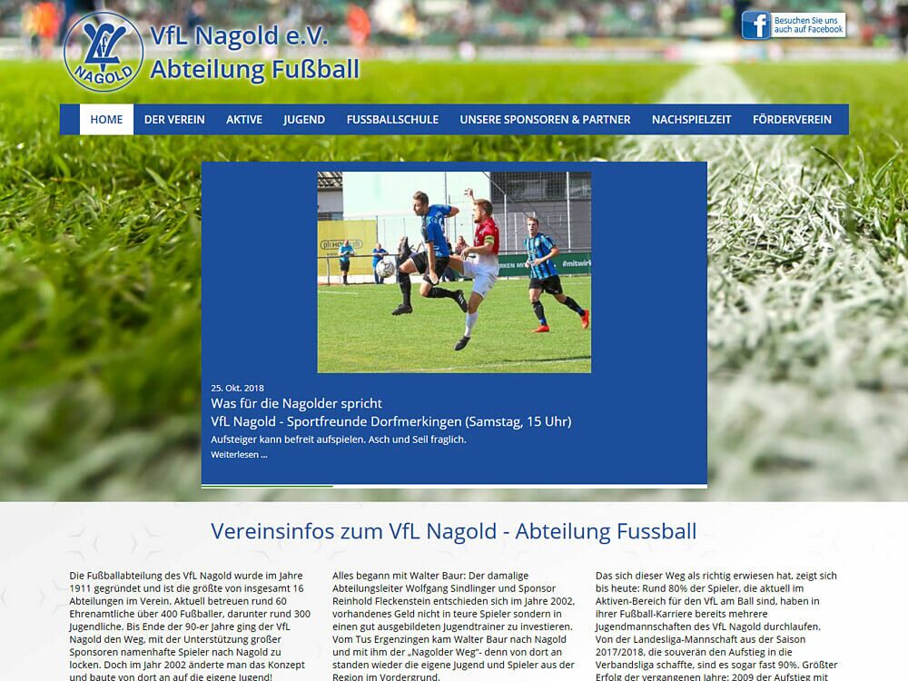 VfL Nagold - Abteilung Fußball